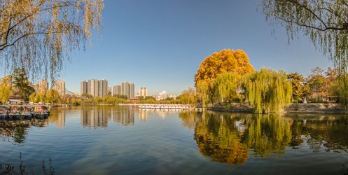 中国陕西省西安兴庆宫公园初冬的美丽风景与景观全景图