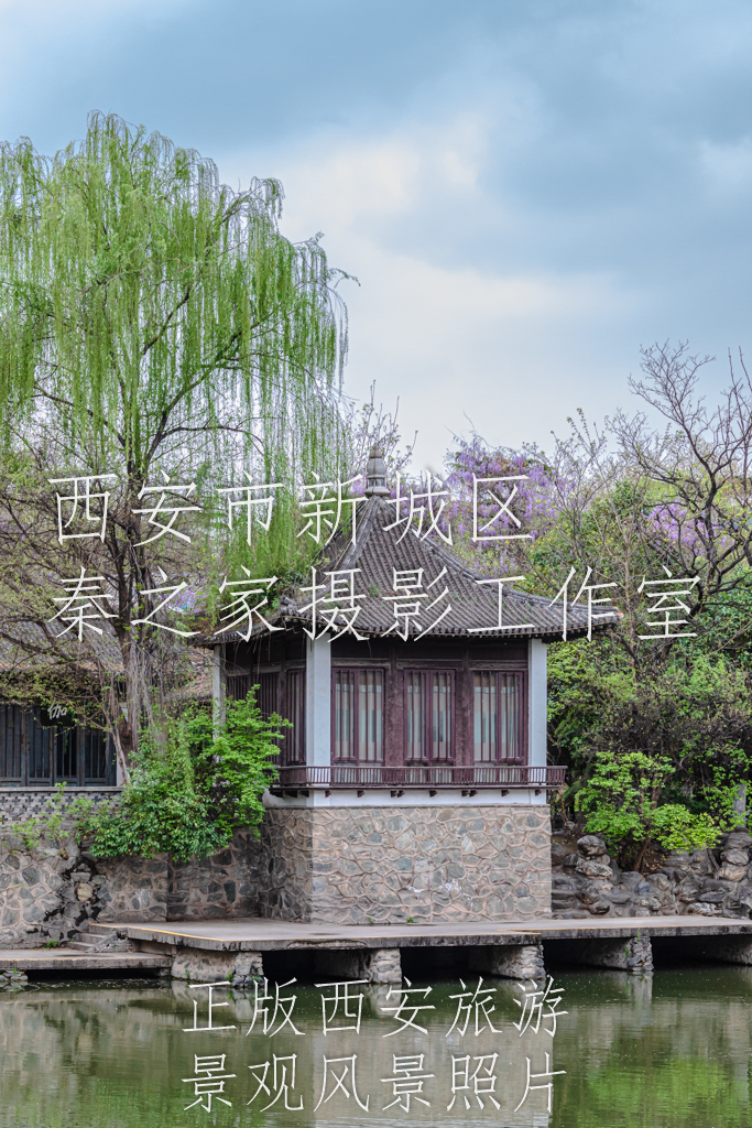 春天的中国陕西西安兴庆宫公园景观