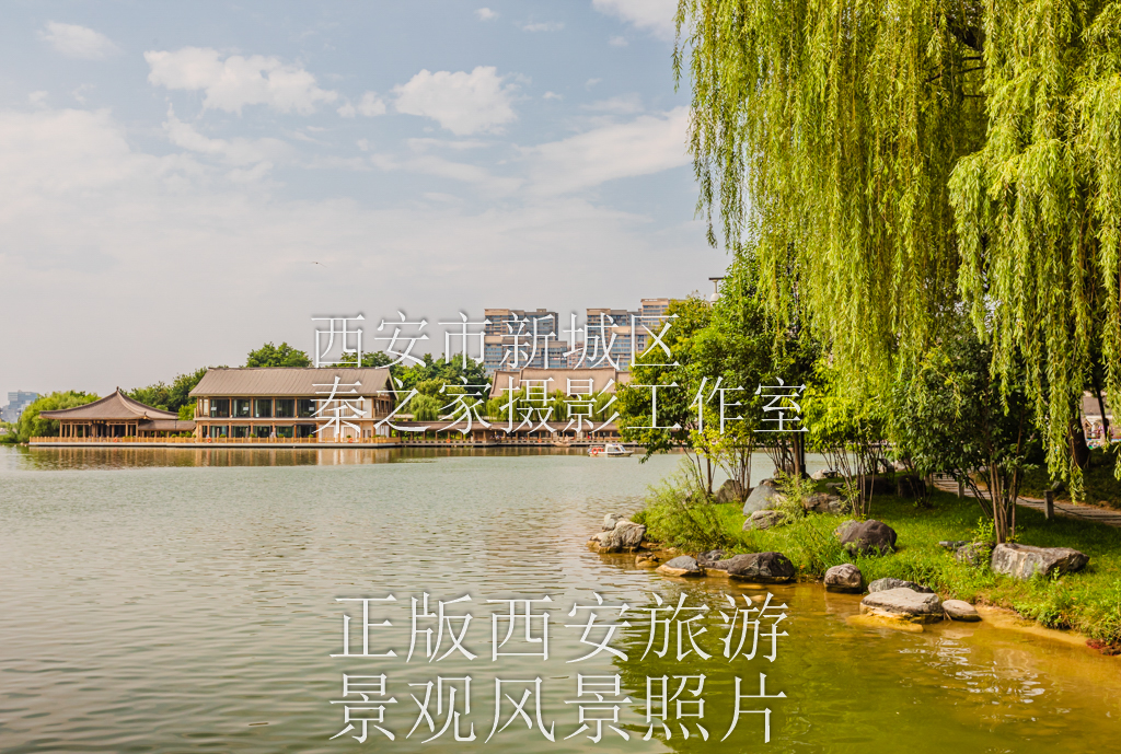 夏天中国陕西西安曲江池遗址公园风景