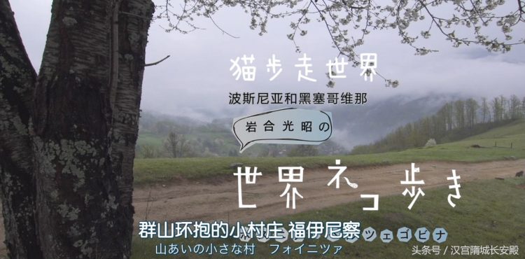 纪录片推荐:《岩合光昭的猫步走世界》铲屎官与猫咪间的故事缩略图 纪录片推荐:《岩合光昭的猫步走世界》铲屎官与猫咪间的故事