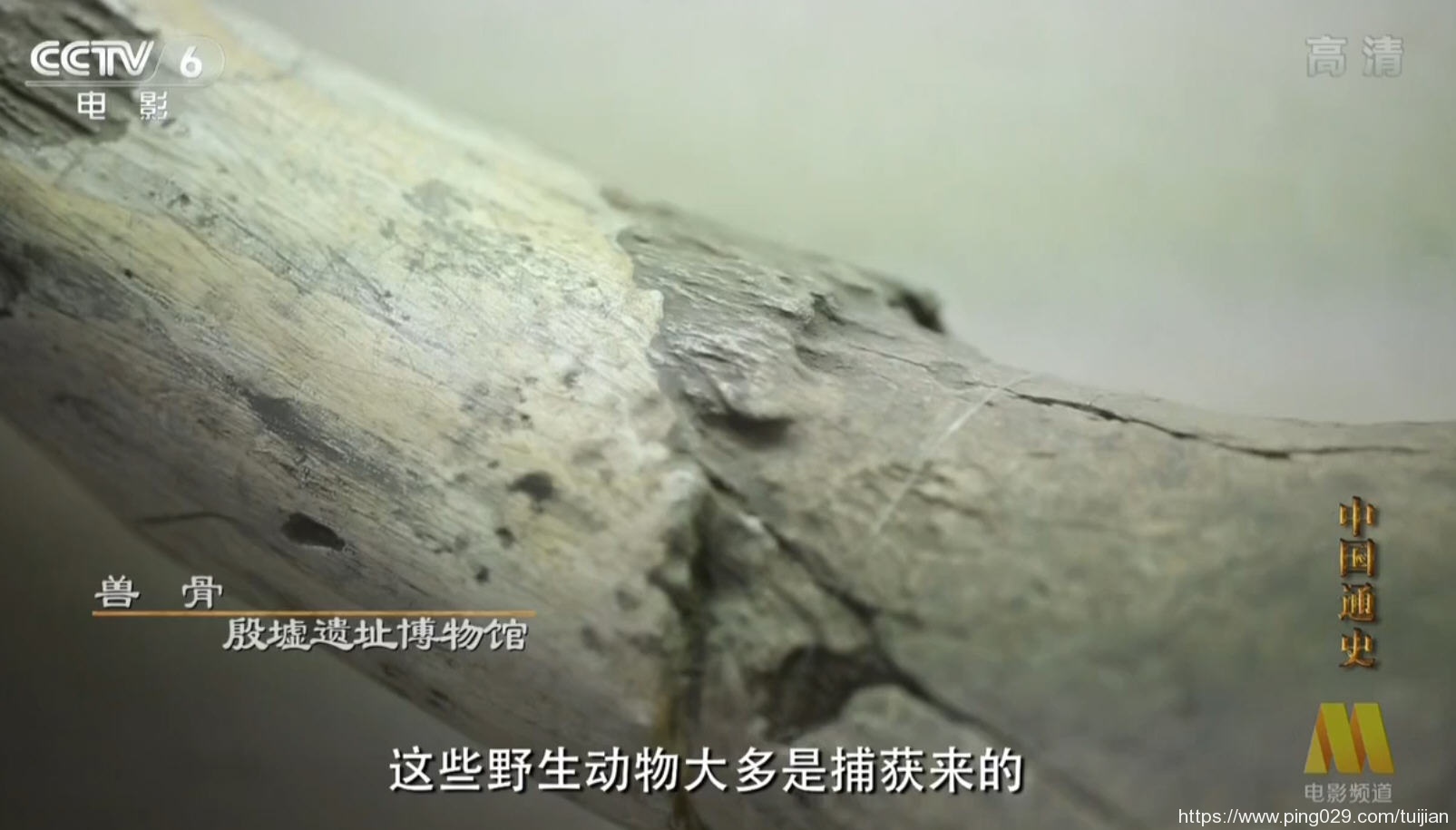 纪录片推荐:《中国通史》中国迄今为止规模最大的一部历史专题片插图5 每天推荐一部纪录片:《中国通史》100集 历史爱好者的福音