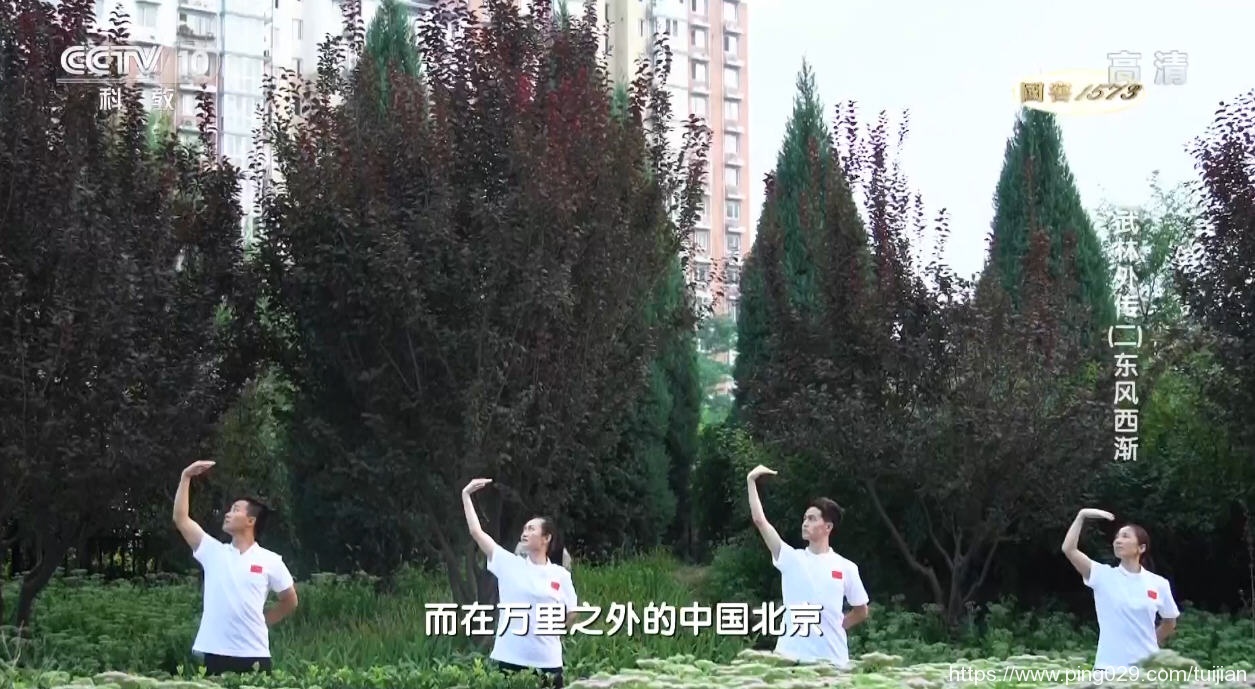 纪录片推荐:《武林外传》最具代表性的中国文化符号之一插图7 每天推荐一部纪录片:《武林外传》8集 央视中国武术纪录片