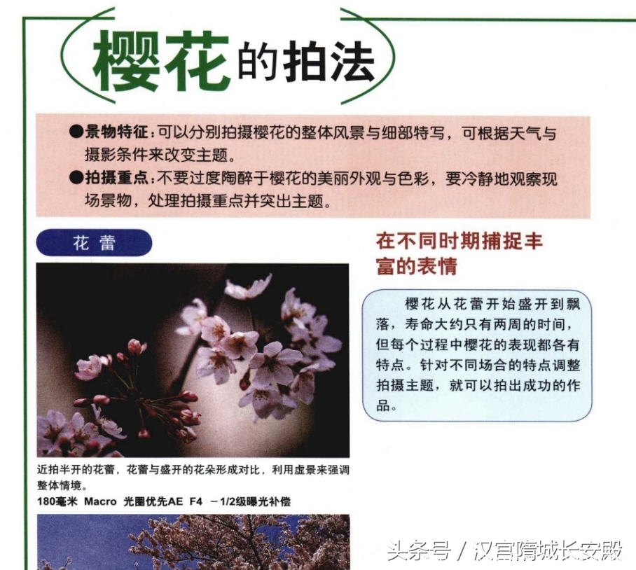 摄影书推荐:《自然风景摄影实例指南丛书-春夏美景》春夏经典景物的拍摄特点及技巧插图4 每天推荐一本摄影书:《自然风景摄影实例指南丛书-春夏美景》