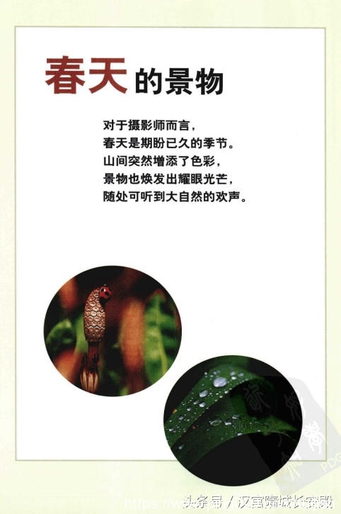摄影书推荐:《自然风景摄影实例指南丛书-春夏美景》春夏经典景物的拍摄特点及技巧插图3 每天推荐一本摄影书:《自然风景摄影实例指南丛书-春夏美景》