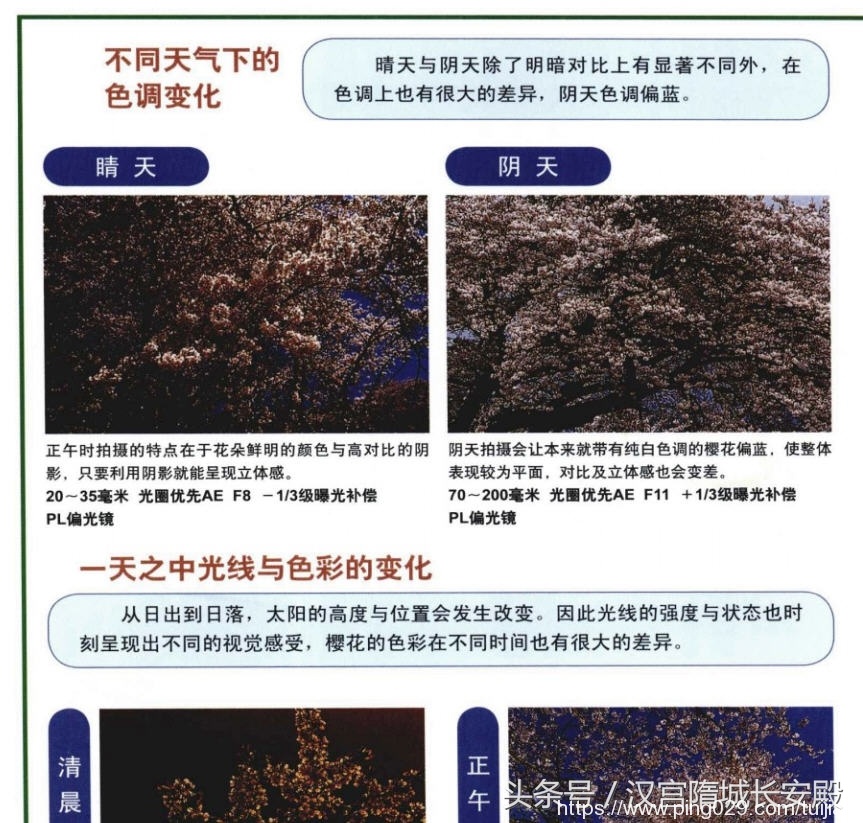 摄影书推荐:《自然风景摄影实例指南丛书-春夏美景》春夏经典景物的拍摄特点及技巧插图6 每天推荐一本摄影书:《自然风景摄影实例指南丛书-春夏美景》