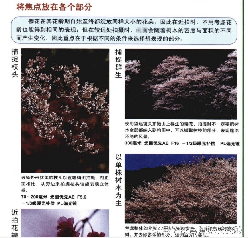 摄影书推荐:《自然风景摄影实例指南丛书-春夏美景》春夏经典景物的拍摄特点及技巧插图5 每天推荐一本摄影书:《自然风景摄影实例指南丛书-春夏美景》