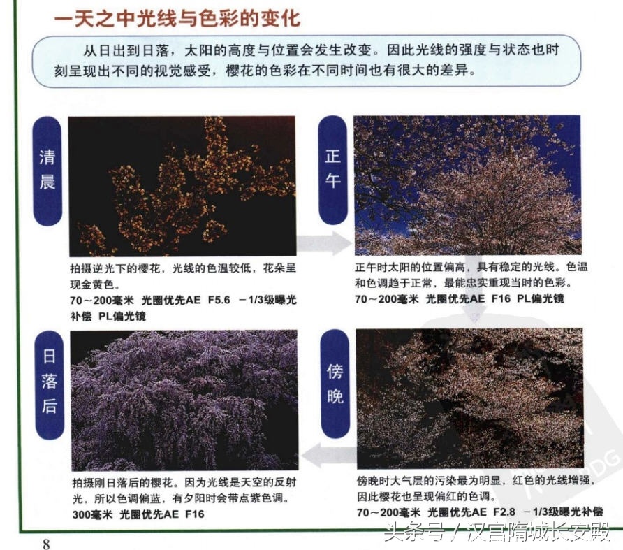 摄影书推荐:《自然风景摄影实例指南丛书-春夏美景》春夏经典景物的拍摄特点及技巧插图7 每天推荐一本摄影书:《自然风景摄影实例指南丛书-春夏美景》