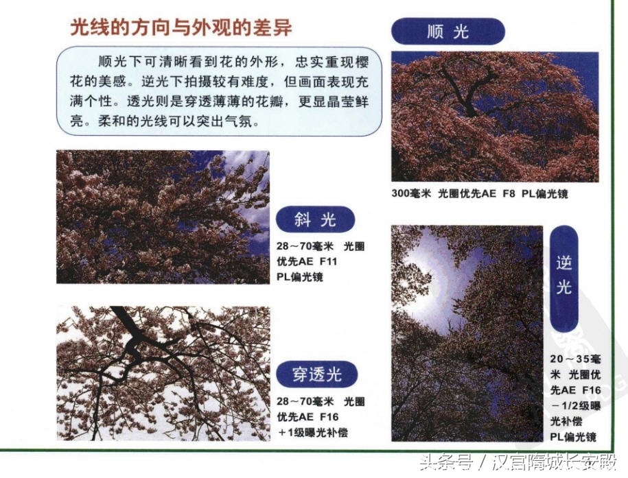 摄影书推荐:《自然风景摄影实例指南丛书-春夏美景》春夏经典景物的拍摄特点及技巧插图8 每天推荐一本摄影书:《自然风景摄影实例指南丛书-春夏美景》
