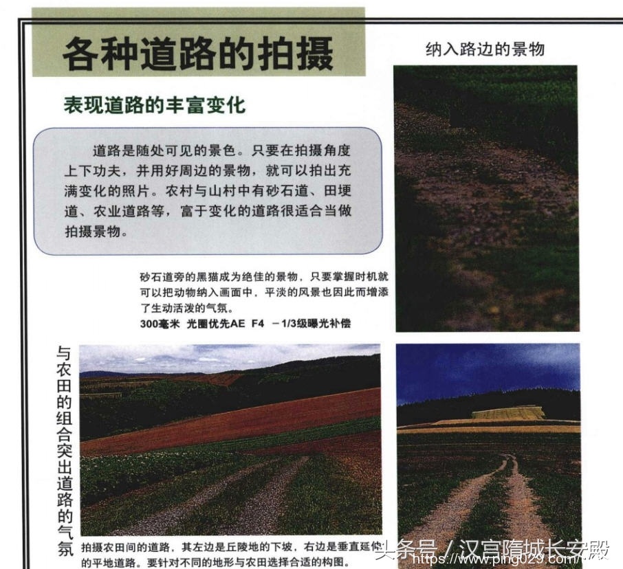 摄影书推荐:《自然风景摄影实例指南丛书-春夏美景》春夏经典景物的拍摄特点及技巧插图10 每天推荐一本摄影书:《自然风景摄影实例指南丛书-春夏美景》