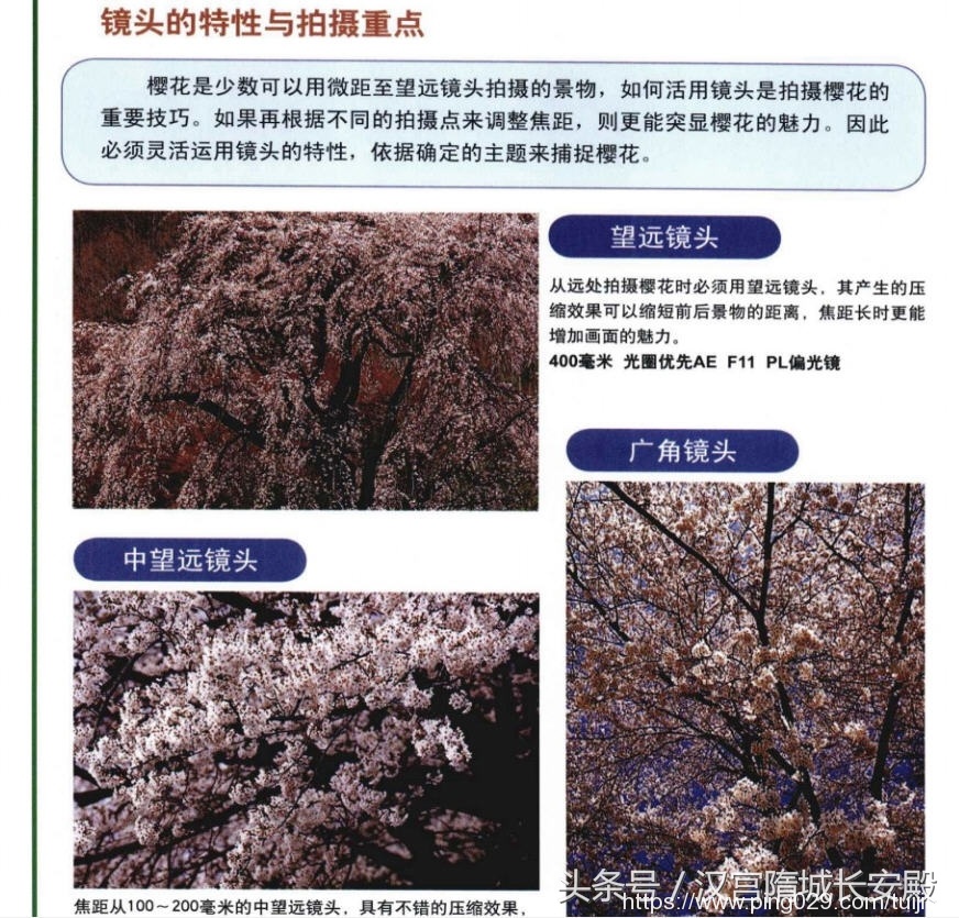 摄影书推荐:《自然风景摄影实例指南丛书-春夏美景》春夏经典景物的拍摄特点及技巧插图9 每天推荐一本摄影书:《自然风景摄影实例指南丛书-春夏美景》
