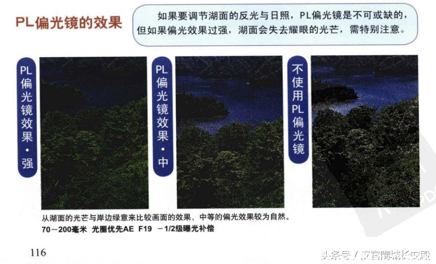 摄影书推荐:《自然风景摄影实例指南丛书-春夏美景》春夏经典景物的拍摄特点及技巧插图13 每天推荐一本摄影书:《自然风景摄影实例指南丛书-春夏美景》