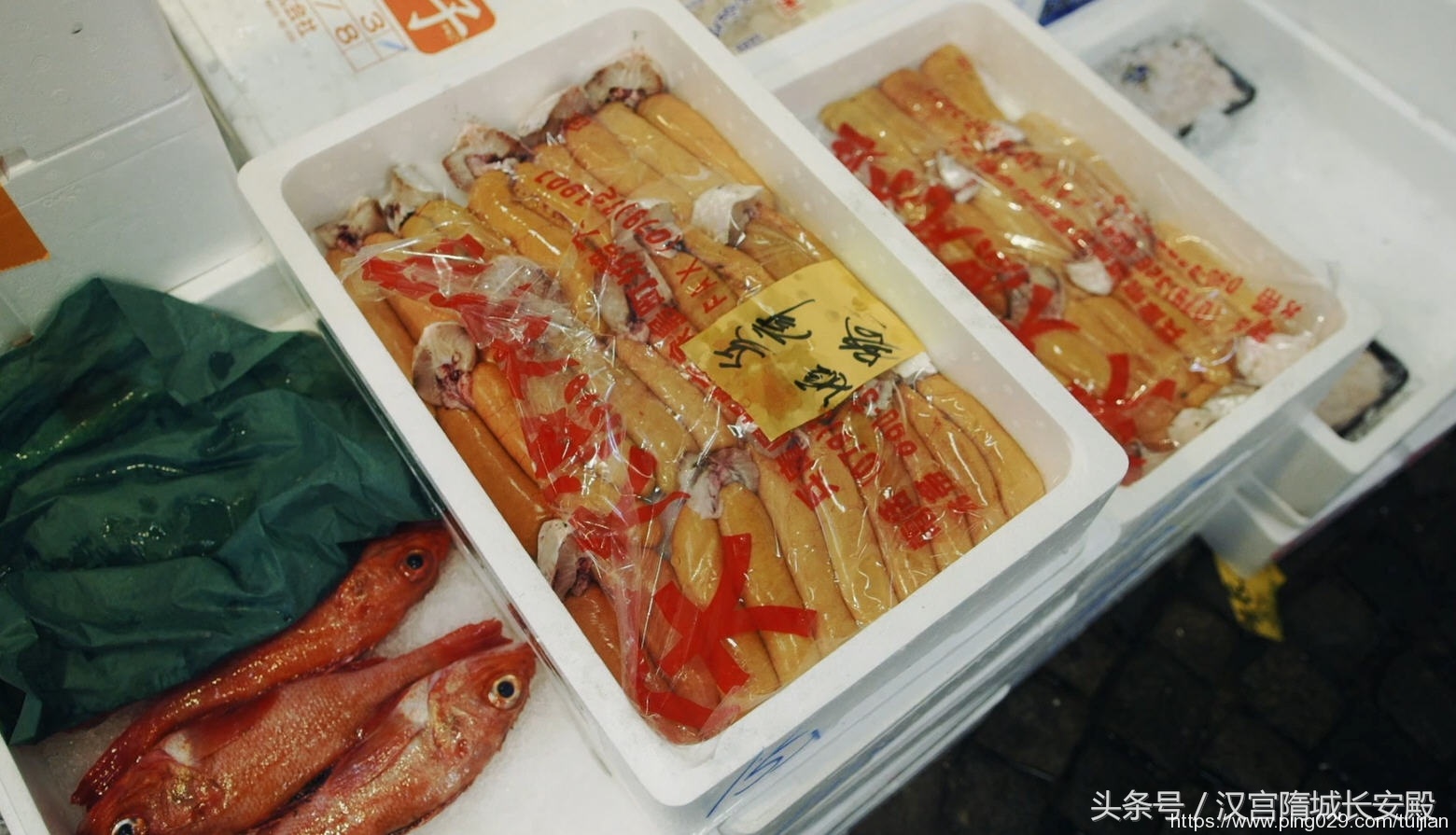 纪录片推荐:《筑地仙境》一同领会这传奇市场的独特魅力插图4 每天推荐一部纪录片:《筑地仙境》一同领会这传奇市场的独特魅力