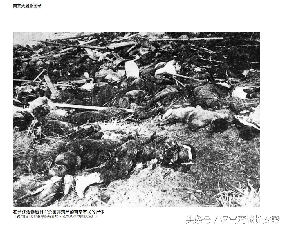 历史书推荐:《南京大屠杀图录》再现了南京大屠杀的惨烈图景插图7 每天推荐一本历史书:《南京大屠杀图录》最黑暗最惨绝人寰的事件
