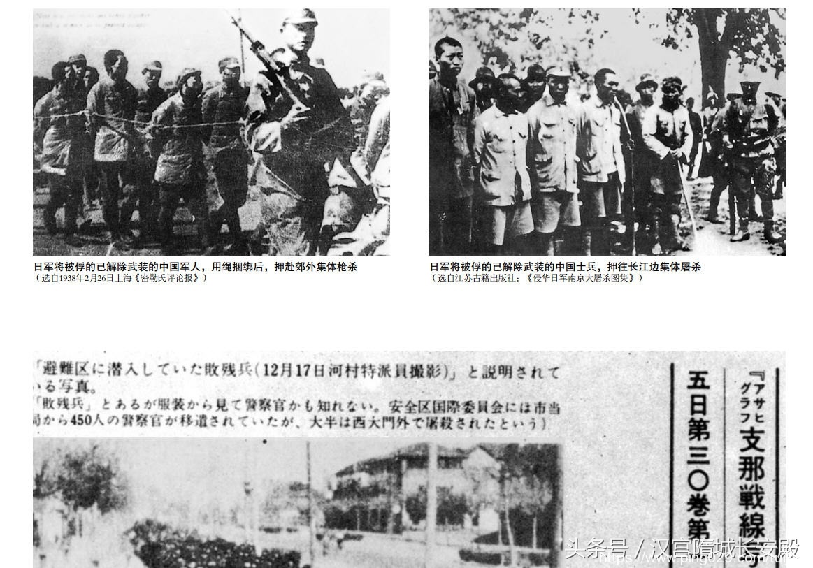历史书推荐:《南京大屠杀图录》再现了南京大屠杀的惨烈图景插图6 每天推荐一本历史书:《南京大屠杀图录》最黑暗最惨绝人寰的事件