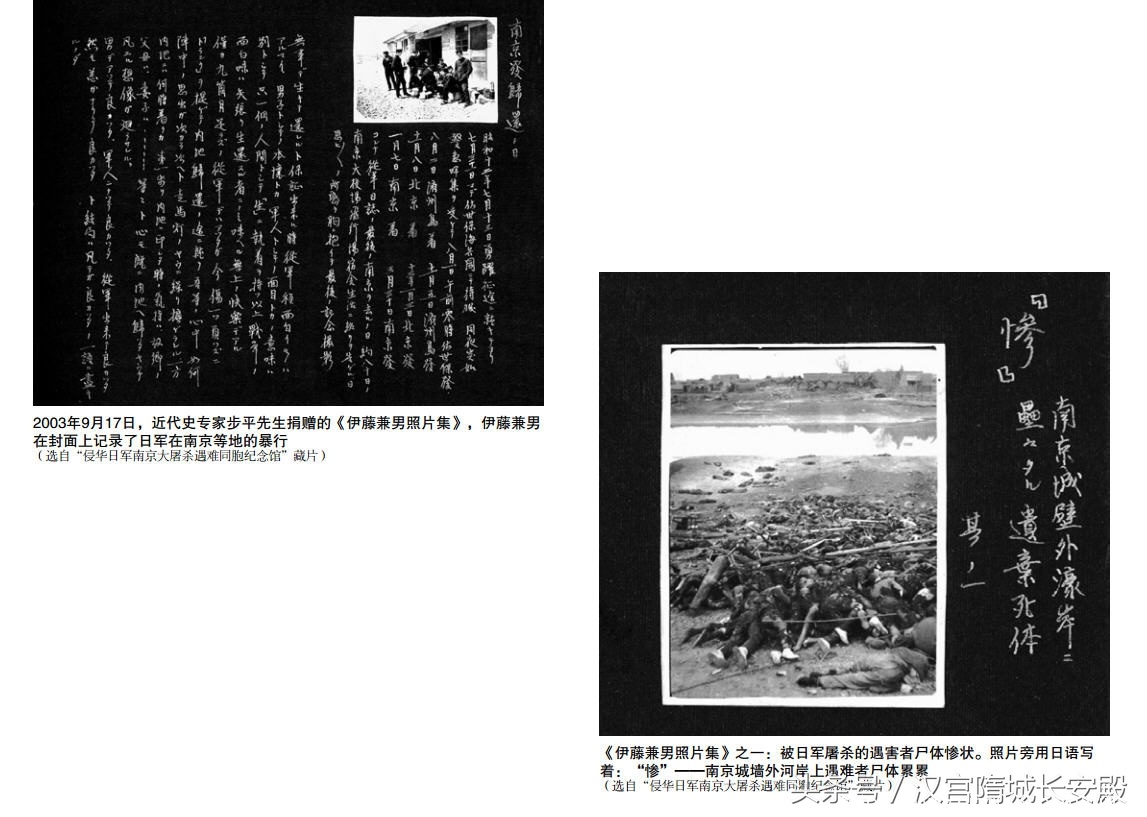 历史书推荐:《南京大屠杀图录》再现了南京大屠杀的惨烈图景插图13 每天推荐一本历史书:《南京大屠杀图录》最黑暗最惨绝人寰的事件