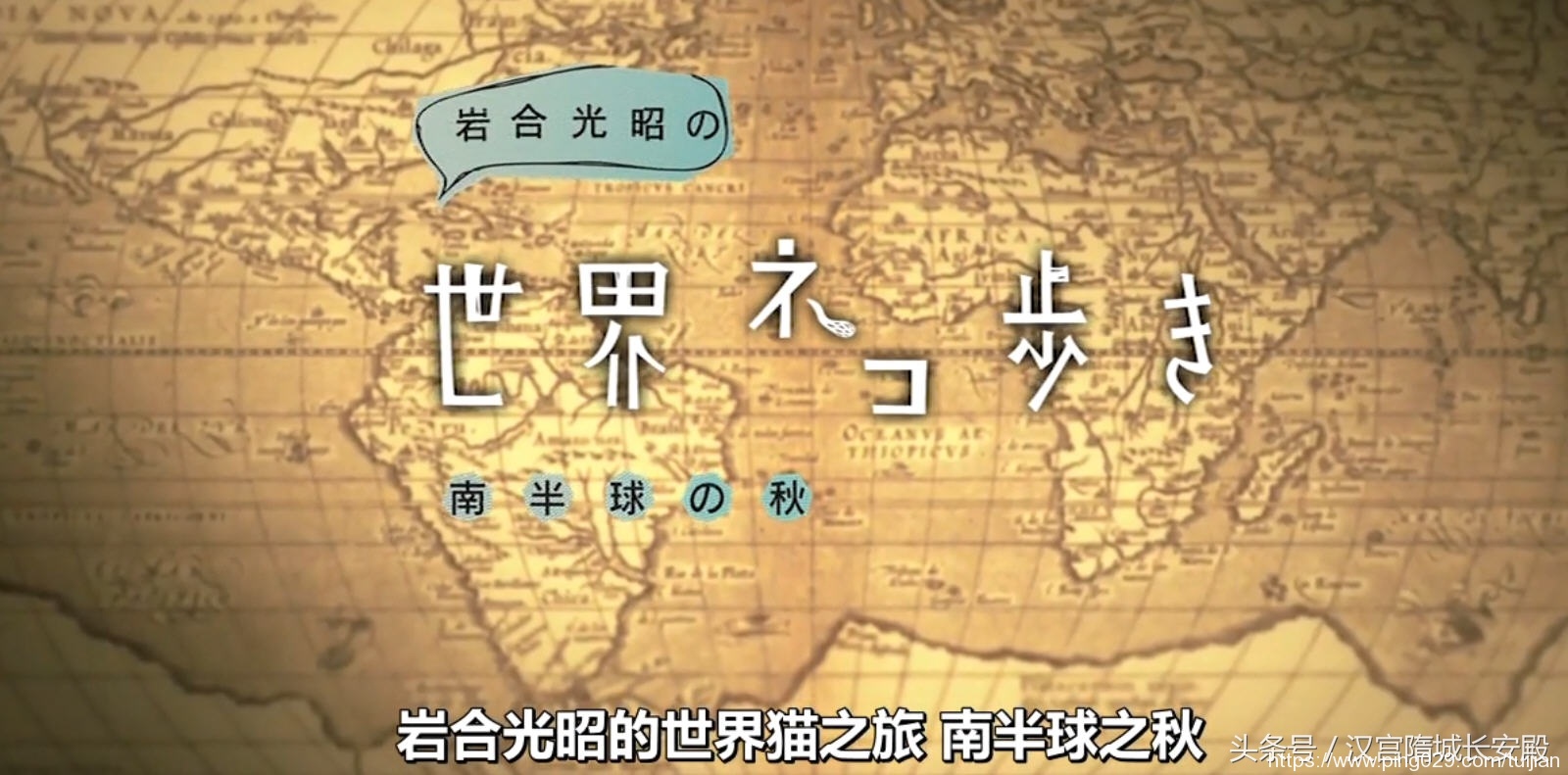 纪录片推荐:《岩合光昭的猫步走世界》铲屎官与猫咪间的故事插图21 每天推荐一部纪录片:《岩合光昭的猫步走世界》拍摄世界各地猫咪
