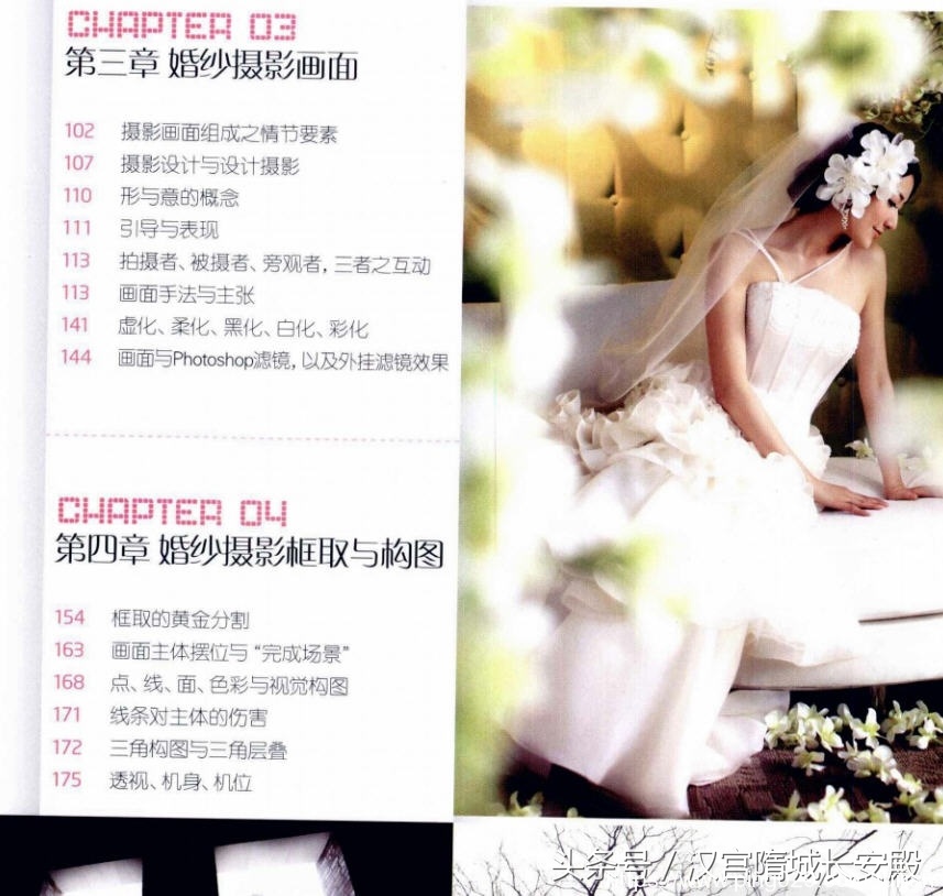 摄影书推荐:《婚纱摄影从入门到精通》婚纱摄影的完整实现过程插图3 每天推荐一本摄影书:《婚纱摄影从入门到精通》金夫人婚纱摄影