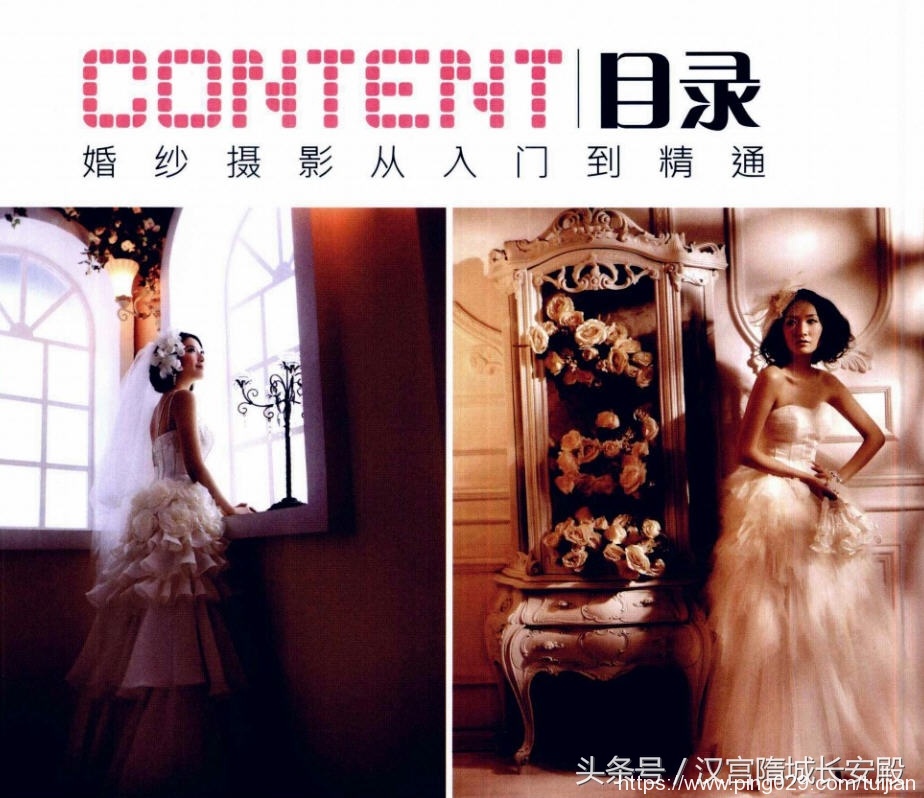 摄影书推荐:《婚纱摄影从入门到精通》婚纱摄影的完整实现过程插图6 每天推荐一本摄影书:《婚纱摄影从入门到精通》金夫人婚纱摄影