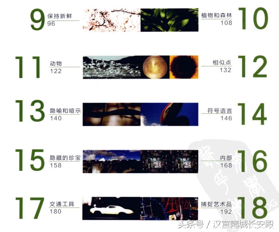摄影书推荐:《写给大家看的摄影创意书-静物》摄影创意指南插图3 每天推荐一本摄影书:《写给大家看的摄影创意书-静物》