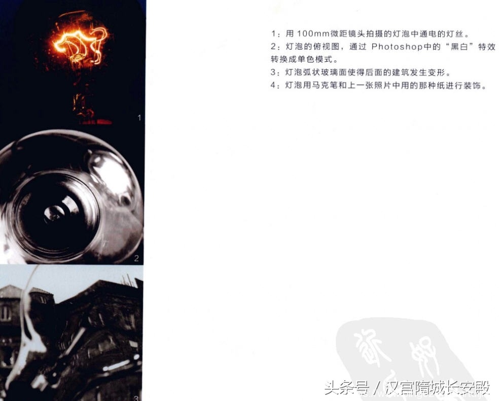 摄影书推荐:《写给大家看的摄影创意书-静物》摄影创意指南插图5 每天推荐一本摄影书:《写给大家看的摄影创意书-静物》