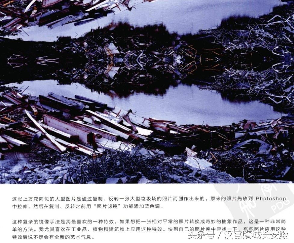 摄影书推荐:《写给大家看的摄影创意书-静物》摄影创意指南插图7 每天推荐一本摄影书:《写给大家看的摄影创意书-静物》