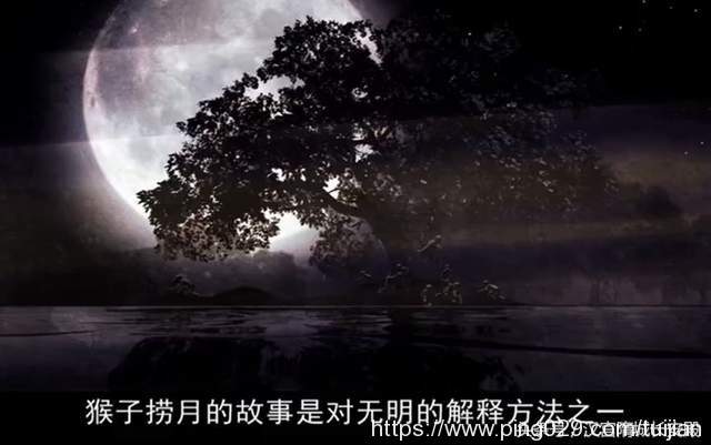纪录片推荐:《从当下出发》佛教文化当代传播的一次突破插图6 纪录片推荐:《从当下出发》佛教文化当代传播的一次突破插图6